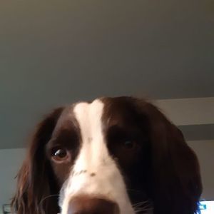 Meet your Posher, Mike